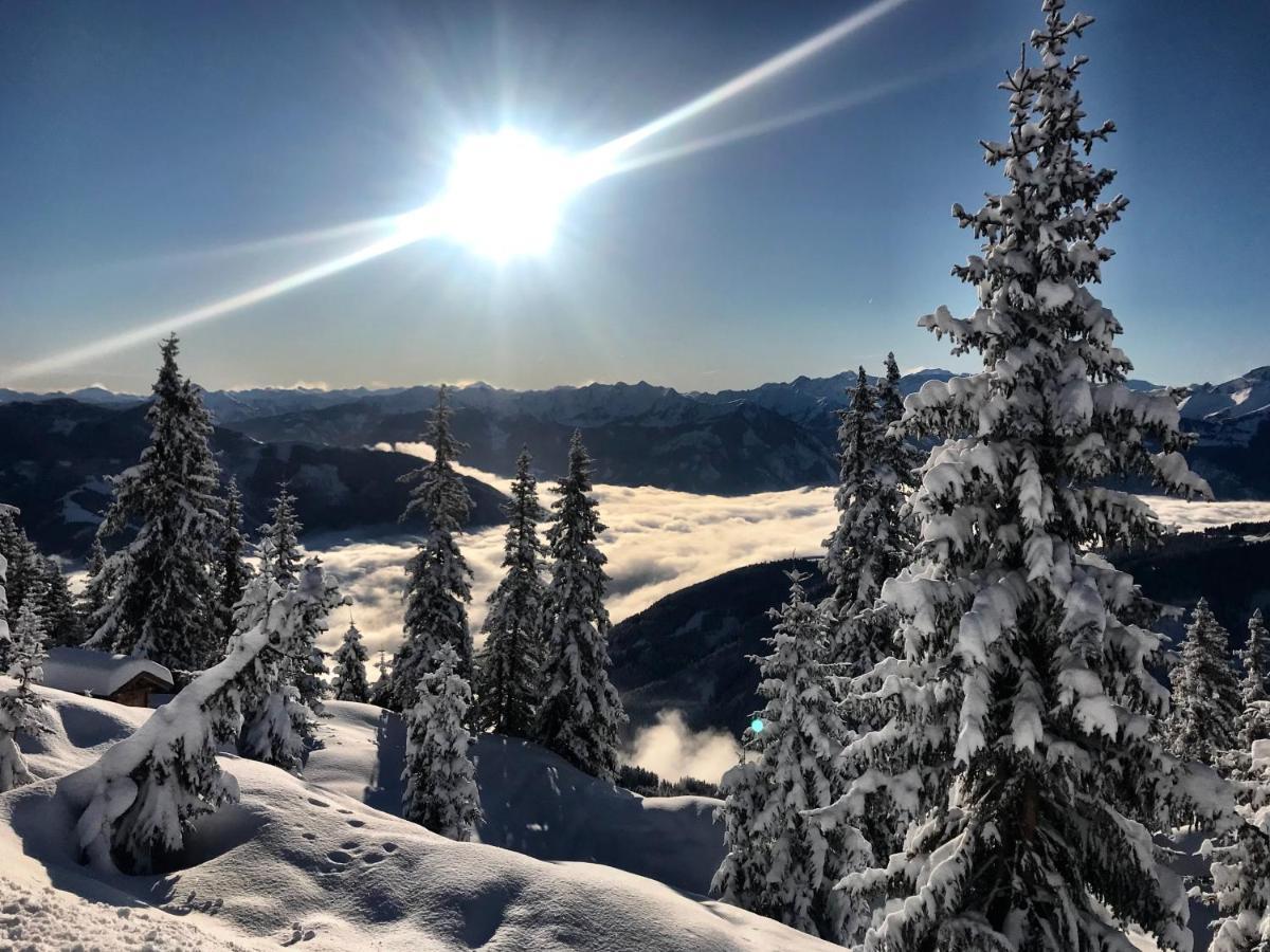 Landhaus Bergner Alm 弗希安德格洛可尼 外观 照片