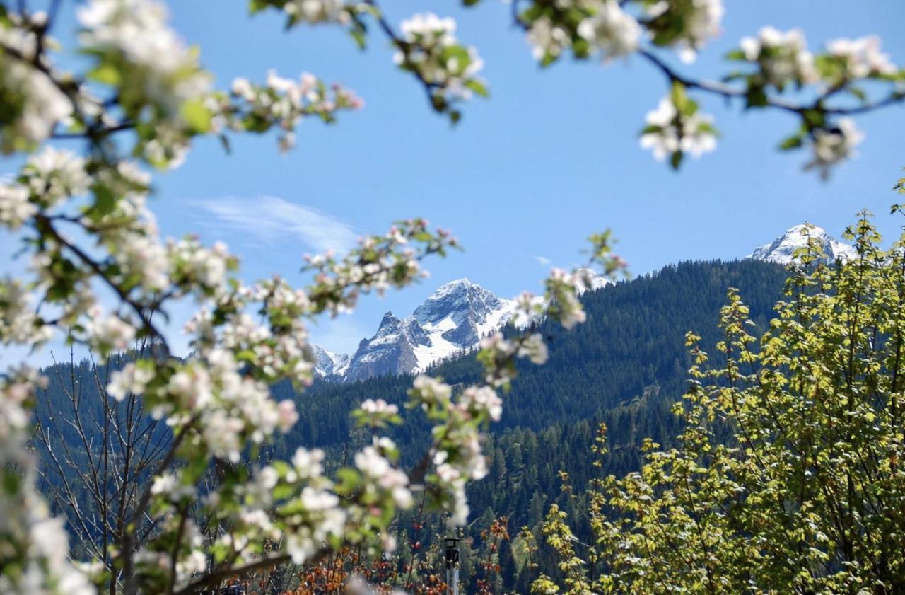 Landhaus Bergner Alm 弗希安德格洛可尼 外观 照片