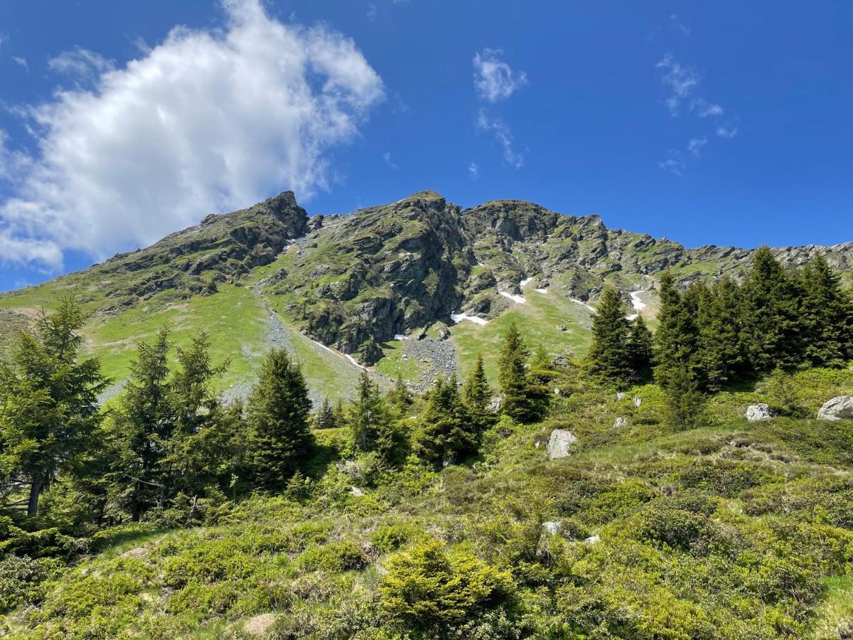 Landhaus Bergner Alm 弗希安德格洛可尼 外观 照片