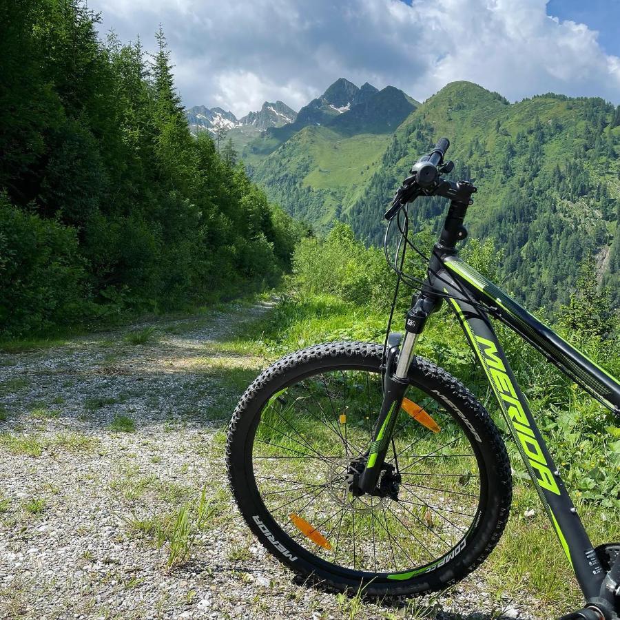 Landhaus Bergner Alm 弗希安德格洛可尼 外观 照片