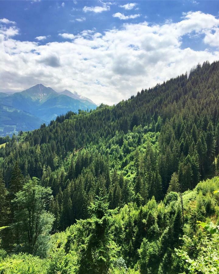 Landhaus Bergner Alm 弗希安德格洛可尼 外观 照片